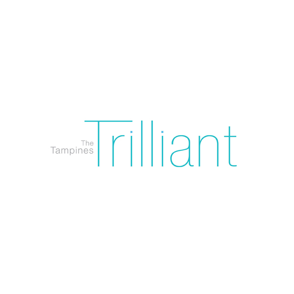 Download The Tampines Trilliant Floorplans SG Floorplans