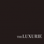 Download The Luxurie Floorplans At SG Floorplans