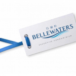 Download Bellewaters Floorplans At SG Floorplans